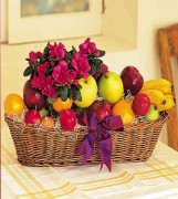 Plant and Fruit Basket